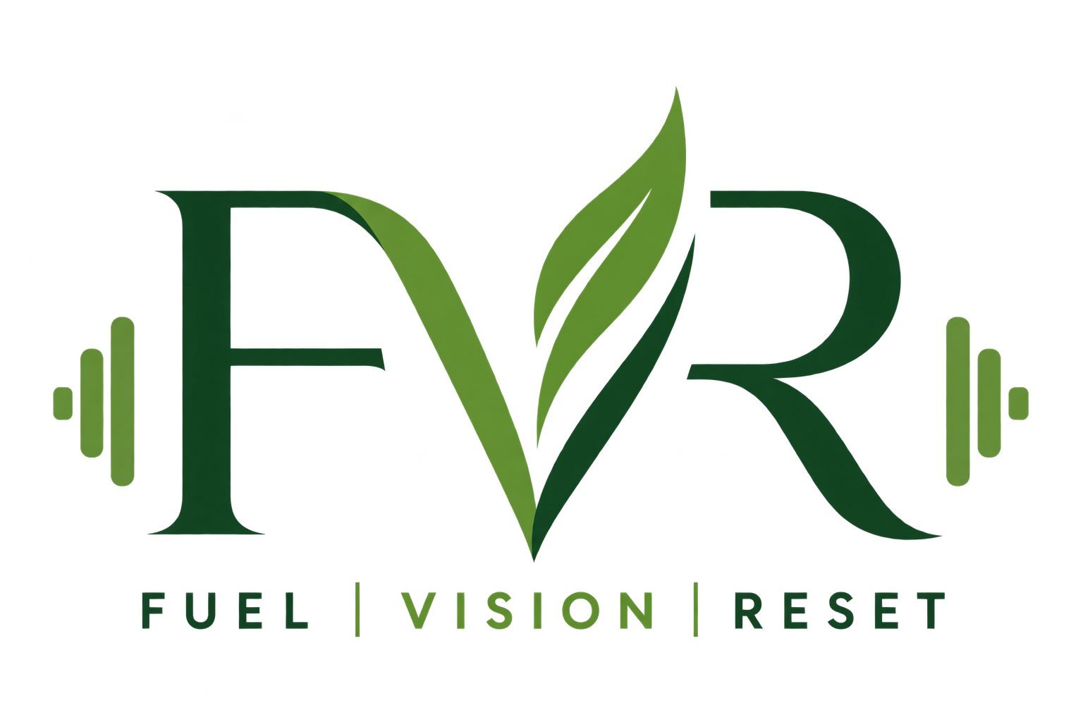 Fuel Vision Reset logo